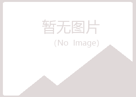 河津山柏会计有限公司